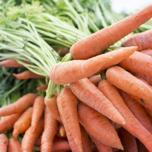 Image: Wild0ne, Carrot produce grocery, Pixabay, Pixabay Licence