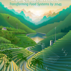 A Long Food Movement: transforming food systems by 2045