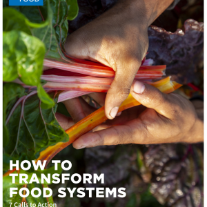 How to transform food systems: 7 Calls to Action