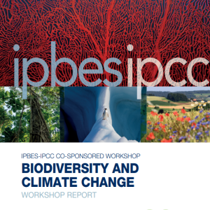IPBES-IPCC workshop: Biodiversity and climate change