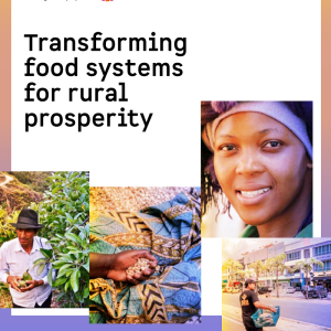 Transforming food systems for rural prosperity
