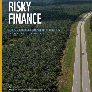Risky Finance