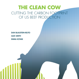 The clean cow