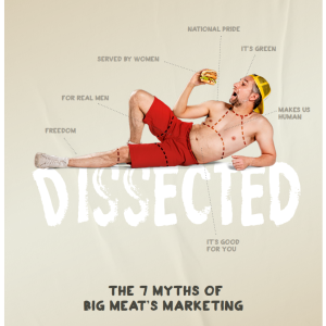 Dissected report cover