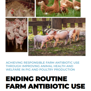 Ending routine farm antibiotic use in Europe