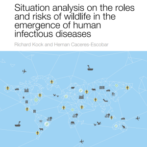 Situation analysis on the roles and risks of wildlife in the emergence of human infectious diseases