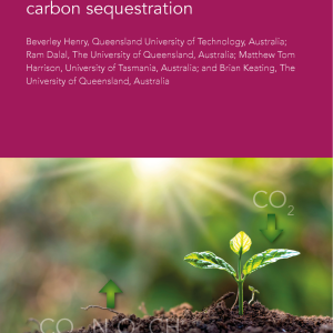 Creating frameworks to foster soil carbon sequestration