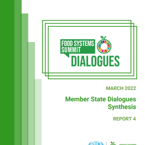 UNFSS Member State Dialogues Synthesis Report 4
