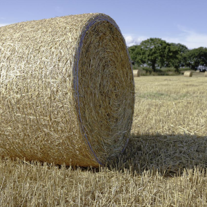 Image: 16124683, Agriculture bale countryside, Pixabay, Pixabay Licence