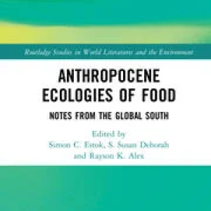 Anthropocene Ecologies of Food: Notes from the Global South