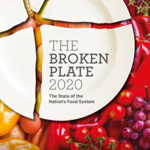 The Broken Plate 2020