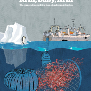 Krill, Baby, Krill – The corporations profiting from plundering Antarctica
