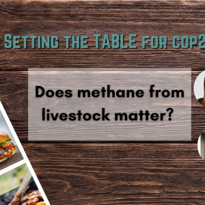 A flyer advertising the "Setting the Table for COP27" series and the event “Does methane from livestock matter?“ There is a photo strip of agricultural landscapes laying on a wooden table and the TABLE logo in the corner and photos of Martin Persson, Claudia Arndt, John Lynch, and Andy Reisinger.