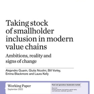 Taking stock of smallholder inclusion in modern value chains