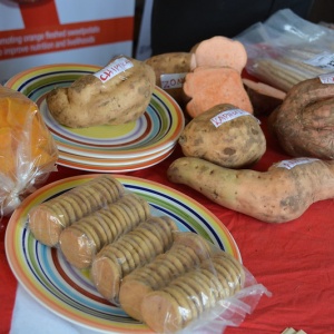 Image: USAID in Africa, Orange-Fleshed Sweet Potato Value Chain, Flickr, United States Government Work