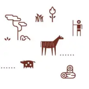 Six briefings: Pastoralism and biodiversity