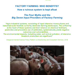 Factory Farming: Who benefits? How a ruinous system is kept afloat