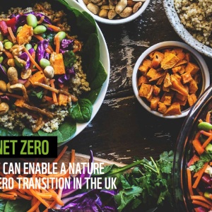 Cover for the report titled “Eating for Net Zero: How diet shift can enable a nature positive net-zero transition in the UK” published by WWF in 2023, featuring a background photo of several bowls of plant-based dishes on a wooden table.