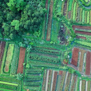 Aerial view of patchwork of small fields, Indonesia. Photo by Tom Fisk via Pexels.