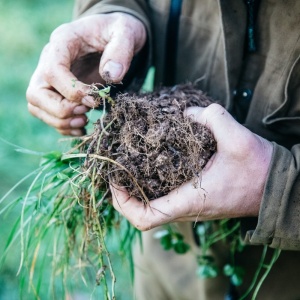 Regenerative Agriculture