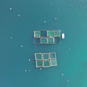 Aerial shot of fish farm. Photo by Deluca G via Pexels
