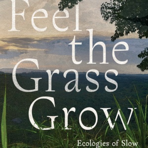 Cover of Feel the Grass Grow by Angela Jill Lederach.