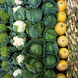 Colourful rows of squash, cauliflower, cabbage, parsnips and potatoes. Photo by Pixabay