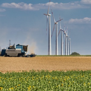 A combine harvests wheat in the foreground with a row of turbines in the distance. Photo by Anton Klyuchnikov via Pexels.