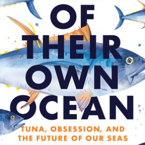 The cover of Kings of Their Own Ocean by Karen Pinchin and water colour of some bluefin tuna. 
