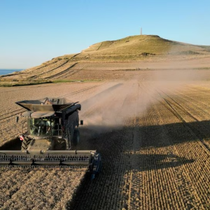 News report image showing a combine harvester in an arable field