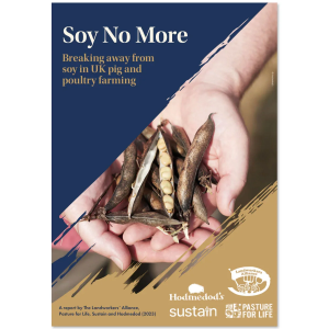 Soy No More report cover showing a handful of dried soybeans. 