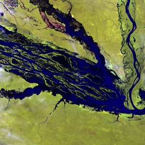 Satellite Image of the Brazil's Negro River running through the amazon. Photo by USGS via Unsplash