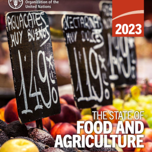 The FAO 2023 State of Food and Agriculture report cover featuring a photo of some fruit at a market