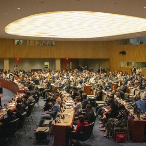 Delegates from around the world gather at the UN High-level Political Forum on Sustainable Development. Photo by Matthew TenBruggencate via Unsplash