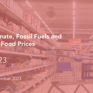 The cover of the Climate, Fossil Fuels and UK Food Prices report by The Energy & Climate Intelligence Unit. Cover shows a photo of a trolley in a supermarket isle