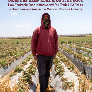 Front cover of report titled: Certified Exploitation: How Equitable Food Initiative and Fair Trade USA fail to protect farmworkers in the Mexican Produce industry. Image contains a man in a red hoodie standing in a strawberry field. 