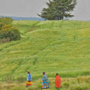 Front cover of Landesa report of three people walking in an agricultural field. Title: Links between Women’s Land Tenure Security and Climate Action: An Evidence Brief