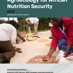Front cover of report titled Legume-Based Agroecology for African Nutrition Security. Image contains several people processing legumes by hand.