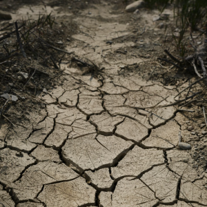 Photo of cracked and dry soil in a field. Image by engin akyurt via Unsplash
