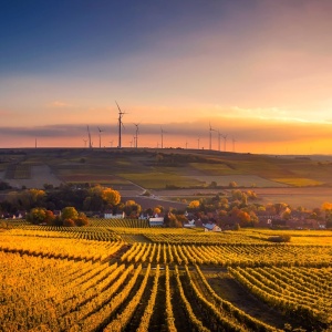 A farm at sunset with wind turbines in the background. Photo by Pixabay from Pexels