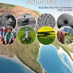 Front cover of report titled Food, Agriculture and Nutrition in South Asia. Image contains a satellite view of South Asia and circular pictures of people of the region.