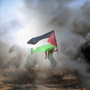 Image of someone holding a Palestinian flag in a burning field. Photo by hosnysalah via Pixabay