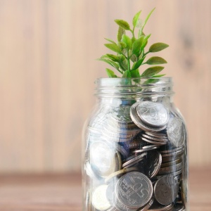 Image: A glass filled with silver coins and a plant on top. Image by Towfiqu bharbuiya via unsplash