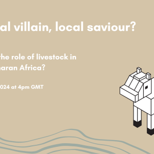 A flyer for the event “Global villain, local saviour? What’s the role of livestock in sub-Saharan Africa?” on March 28 at 4pm GMT and co-hosted by Cornell Food Systems & Global Change and TABLE. The image is a beige background with grey waveforms on the bottom and a cubic animation of a cow.