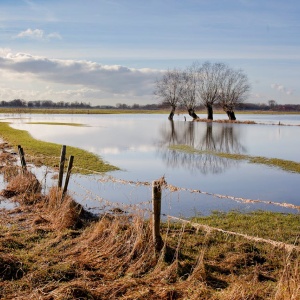 Flooding in field