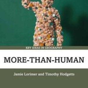 More-than-human cover