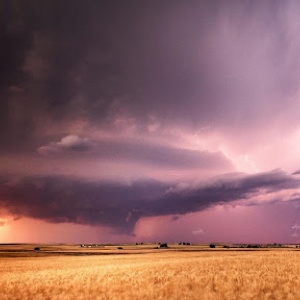 Photo of a storm over a field of wheat.