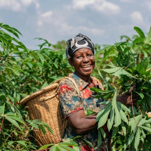 Woman smiling in an agricultural field. Photo by Safari Consoler via Pexels