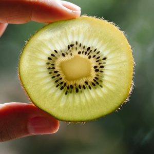 Slice of circular kiwi. Photo by Any Lane via Pexels