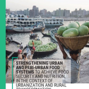 Report cover from HLPE on urban and peri-urban food systems